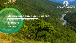 Мастер-класс в Международный день лесов 2024
