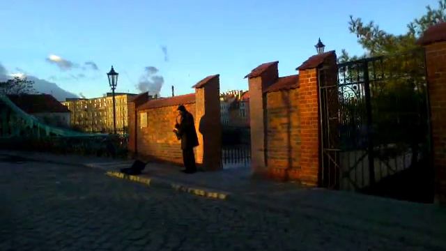 Классная музыка саксафон Тумский мост Вроцлав Польша смотреть онлайн