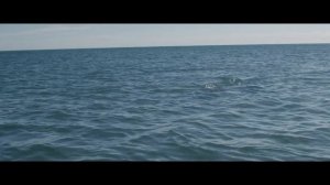 Трейлер Открытое море Монстр глубины 2022