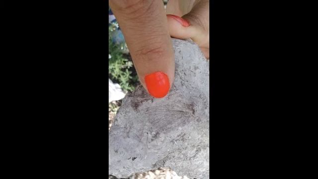 Путешествие на гору Торатау смотреть онлайн