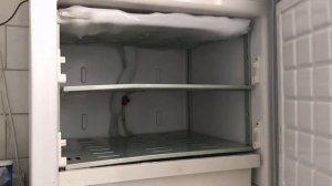 Разморозка морозилки (Time-Lapse)