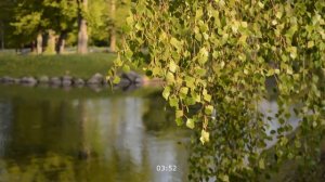 СЛАБЫЙ ПЕРЕДОК ЭТО ЕЁ СЕМЕЙНОЕ. Интересные истории из жизни. Жизненные истории, аудио рассказы