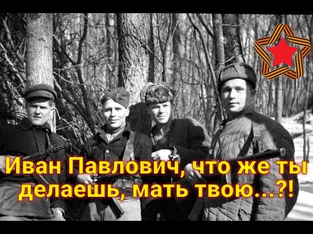 Он повернулся, глаза бешеные и закричал: "Да ты знаешь, что я с тобой сейчас сделаю!?." смотреть онлайн