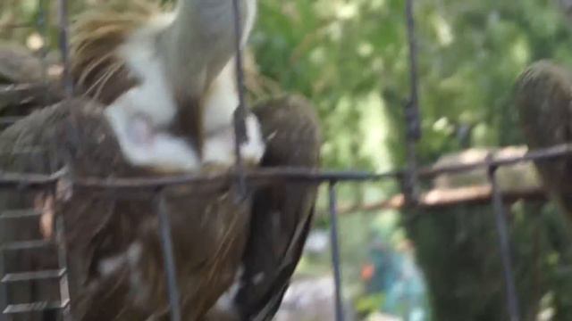 Медовый Крым 5 смотреть онлайн