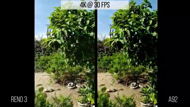 OPPO A92 VS OPPO RENO 3 - DETAILED CAMERA TEST DAN COMPARISON