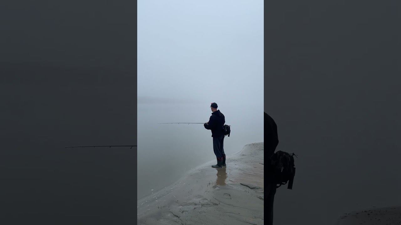#fishingvideo #fishing #рыболовная #рыбалка #рыбалкавидео #туман #иртыш
