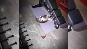 ПОДБОРКА ВИДЕО ИЗ ТИК ТОКА ПО ТРЕНДУ МИСТЕР БОМБАСТИК #2