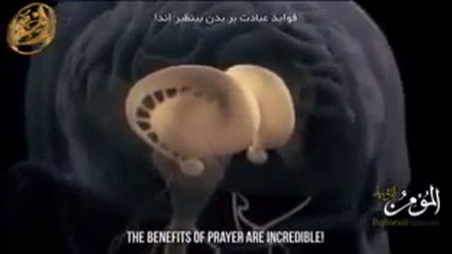 Молитва.Prayer.الصلاة.#телочеловека,#prayer,#الصلاة