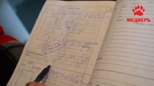 Замер и установка входной двери от "МЕДВЕРЬ"