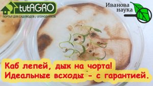 ДАЖЕ СТАРЫЕ ЗАШЕВЕЛЯТСЯ от СТАРТА! Старт-КМЕ: старые, тугие, свежие семена - все на быстрый старт!