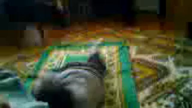 Ребенок читает намаз смотреть онлайн