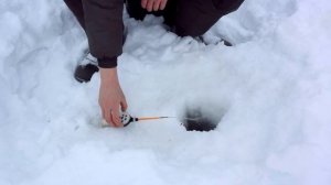 РЫБАЛКА НА РЕКЕ ВЕСНОЙ! Зимняя рыбалка с мотособакой на подлещика и сопу (Ловля в марте)