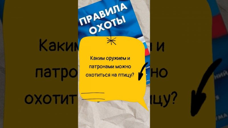 Каким оружием и патронами можно охотиться на птицу? #мужскаякаморка #shorts