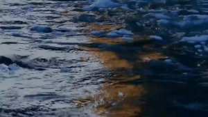 Роль воды в организме  по книге "Вода для здоровья" (Фирейдон Батмангхелидж)