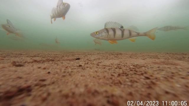 Усть-Илимское водохранилище, 02.05.2023 г. смотреть онлайн