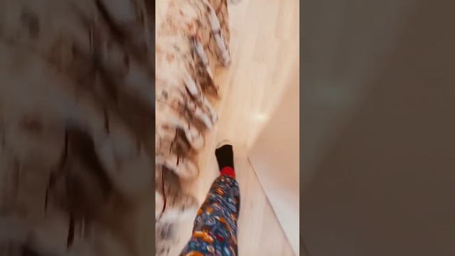 Шлёпка в платье флексит в царстве подушк .Вот что значит не обновил Фортнайт 😶 смотреть онлайн