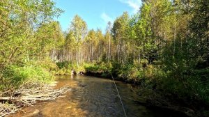 Рыбалка на хариуса