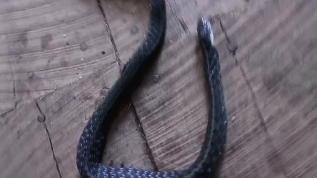 A Fortunate Series Of Events смотреть онлайн