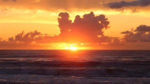 ? Из каких мыслей состоит ВАШ ОБРАЗ МУЖЧИНЫ?