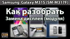 Samsung  Galaxy M31S (SM-M317F) - Полный разбор устройства и Замена дисплея
