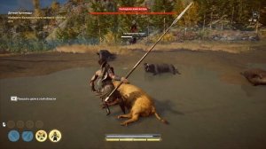 Большая свинка - Калидонский вепрь - Как убить легендарное животное - Assassin's Creed Odyssey | 4K