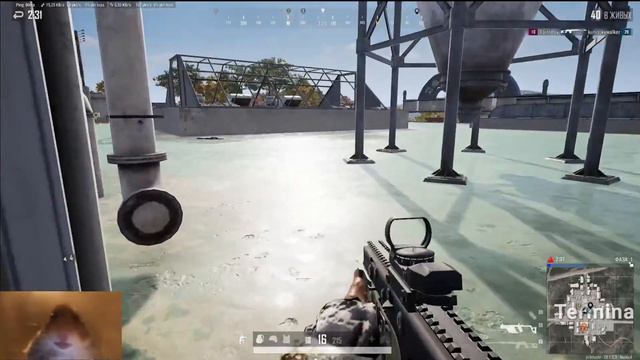 А когда не приход? PUBG: BATTLEGROUND смотреть онлайн