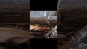 1000015072.mp4