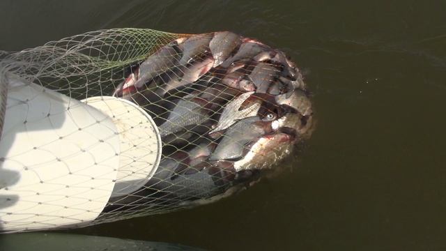 Садок для лодки.mp4 смотреть онлайн