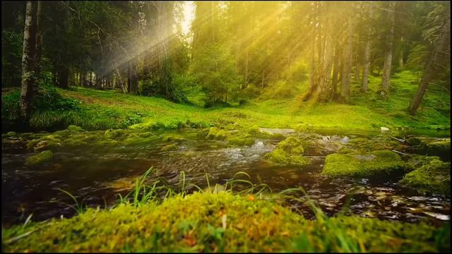 Ты всегда со мной 🌺 ANiS - carlsonnd "Home"