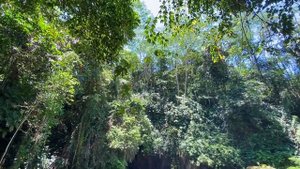 Бали  Март 2023