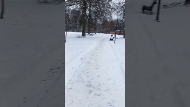Снег, парк, скверик, детская площадка, Щекино, Тульская область