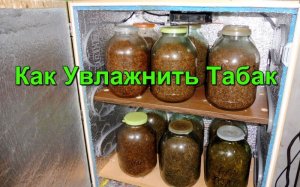 Простые способы увлажнения Табака.