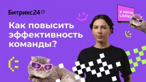 Как повысить эффективность команды? Организуем продуктивную работу в компании