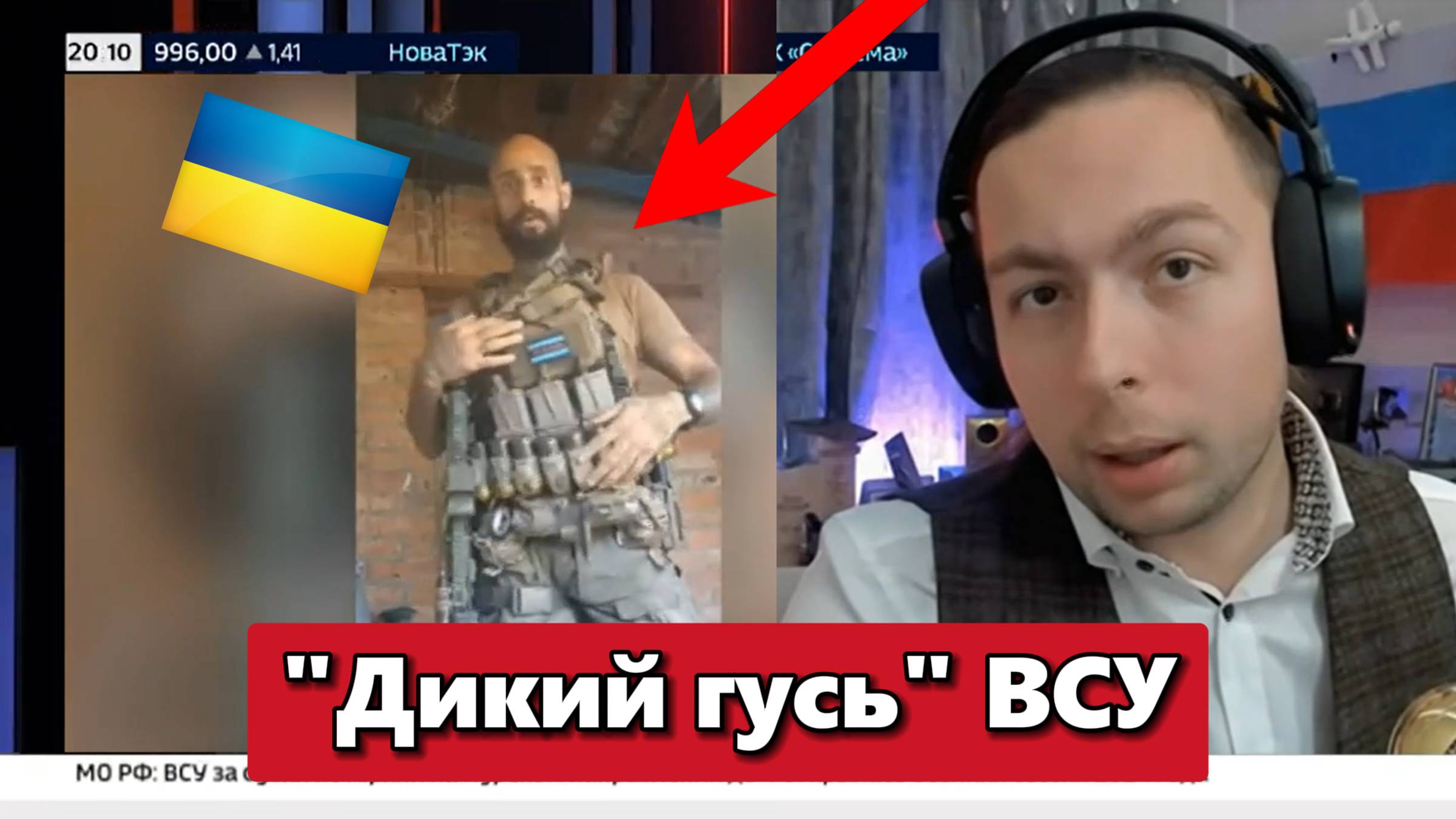 "Дикий гусь" ВСУ