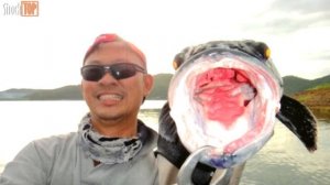 10 САМЫХ СТРАШНЫХ РЫБ УБИЙЦ, которые могут вас съесть