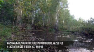 деревня Робяши Шабалинского района Кировской области