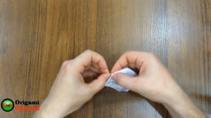 Оригами. Цветок лотоса.Origami lotus flower.