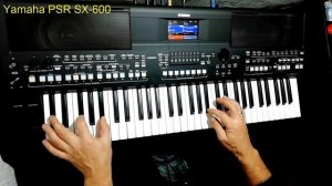 Вальс из к/ф "Мой ласковый и нежный зверь" cover Yamaha PSR SX-600