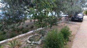 Пустые пляжи в Крыму. Где отдыхающие? Цены. Прибрежное. Солнечная Долина 2019