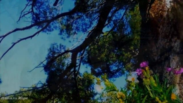 Когда цветут альпийские луга смотреть онлайн