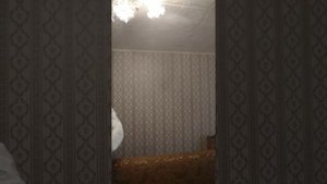 клопы и фен 2