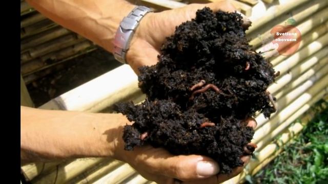 ИДЕАЛЬНЫЙ БЫСТРЫЙ КОМПОСТ ОСЕНЬЮ.С ЭТОЙ СЕКРЕТНОЙ ДОБАВКОЙ ПЕРЕГНИВАЮТ ДАЖЕ ВЕТКИ В РАЗЫ БЫСТРЕЕ. смотреть онлайн