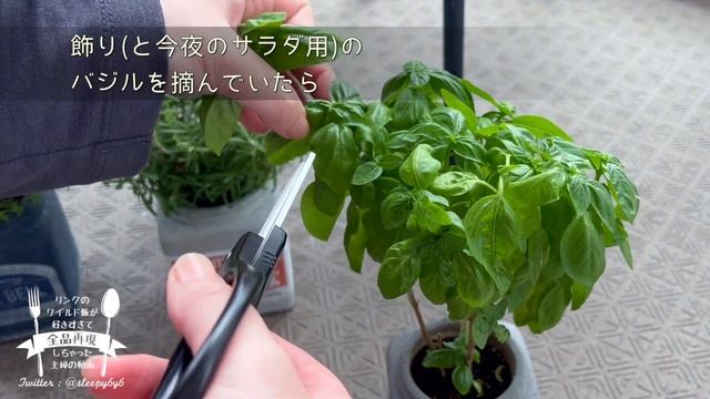 【レンジで作るゼルダ飯】肉汁しみしみ。肉詰めカボチャZELDA cooking in real life 33【再現料理】 смотреть онлайн