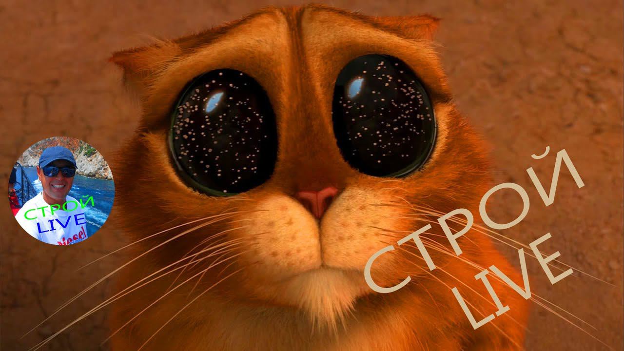 Недосмотрел))) смотреть онлайн