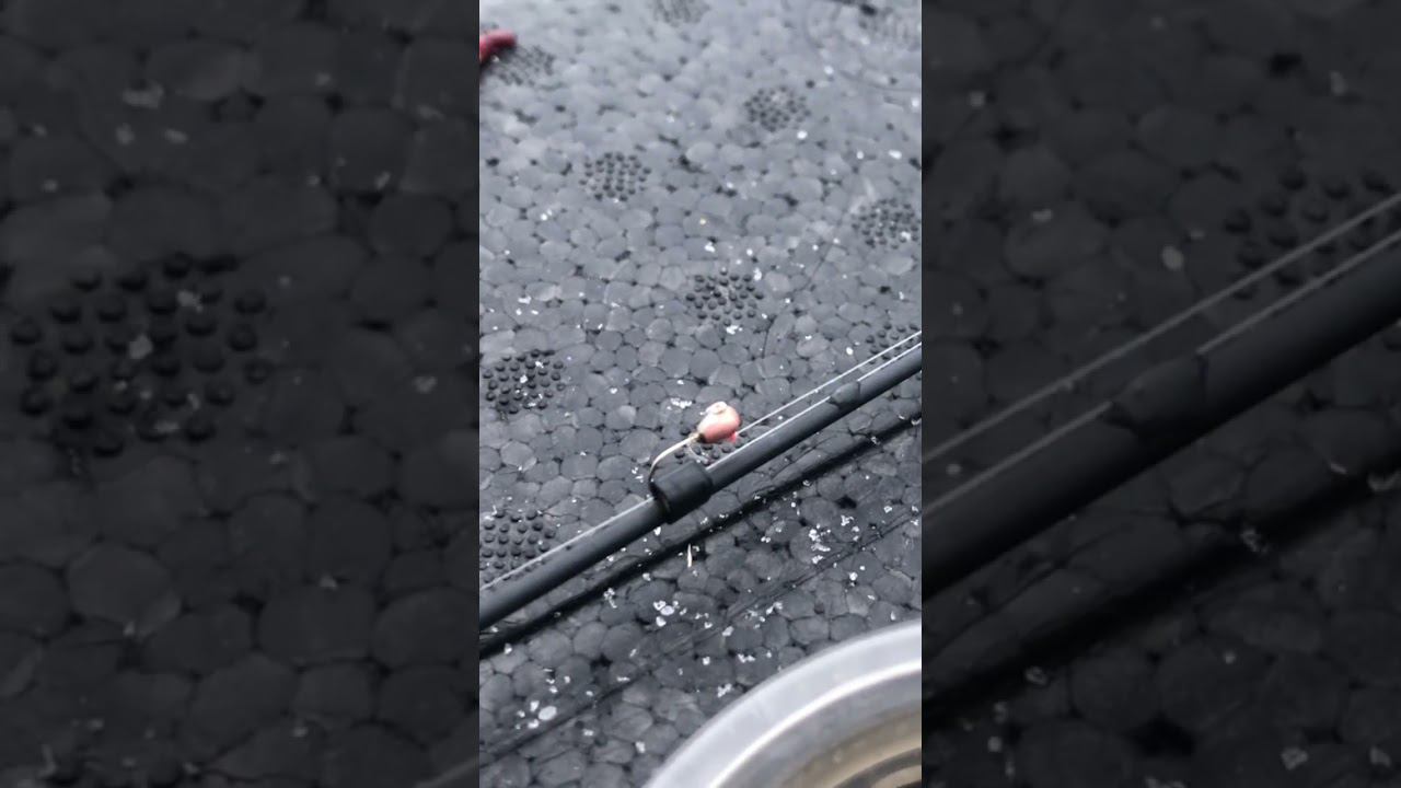 РАБОЧИЕ МОРМЫШКИ в ГЛУХОЗИМЬЕ #рыбалка #рыбалка2023 #рыбалканареке смотреть онлайн