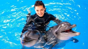 Дельфинарий Хургада Египет 2023 - Шоу Дельфинов - Dolphinarium Hurghada Egypt 2023
