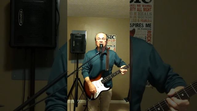 Red House Jimi Hendrix American Fender Stratocaster lace sensors Tube Screamer Mini смотреть онлайн