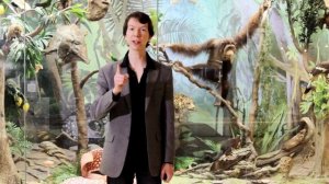 КТО ВЛИП В ИСТОРИЮ? Ярослав Попов | Палеонтологические истории #005