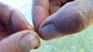 Рыбалка ☝на реке Бия. Ловля хариуса на удочку.