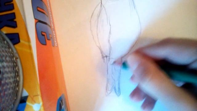 Как нарисовать КАНАРЕЙКУ простым карандашом, 2 ЧАСТЬ. Поэтапно рисование. смотреть онлайн